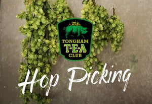 Hop Picking - Hogs Back Brewery