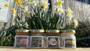 Miniature jars of honey from Hogs Back bees in front of daffodils