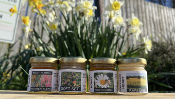 Miniature jars of honey from Hogs Back bees in front of daffodils