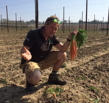 Accidental Carrot harvest being used in new Hogs Back beer - Hogs Back Brewery