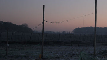 All Quiet in the Hop Garden - Hogs Back Brewery