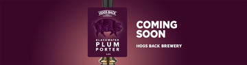 Blackwater Plum Porter in the Brewhouse - Hogs Back Brewery