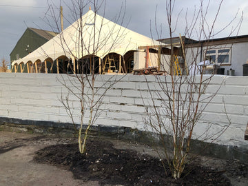 Busy Building at the Brewery - Hogs Back Brewery