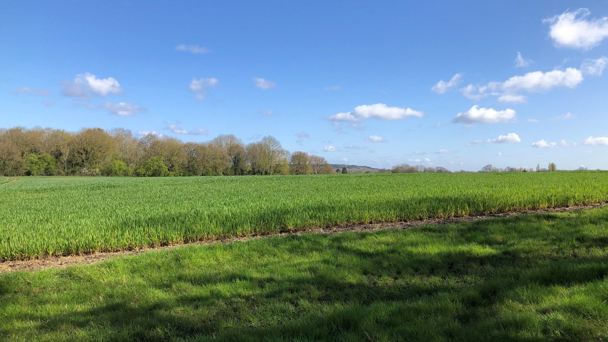 Hogs Back View Can you help protect the Hogs Back? – Hogs Back Brewery