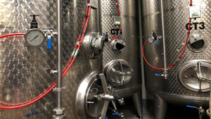 Exmoor Wild Cat Coming Soon - Hogs Back Brewery