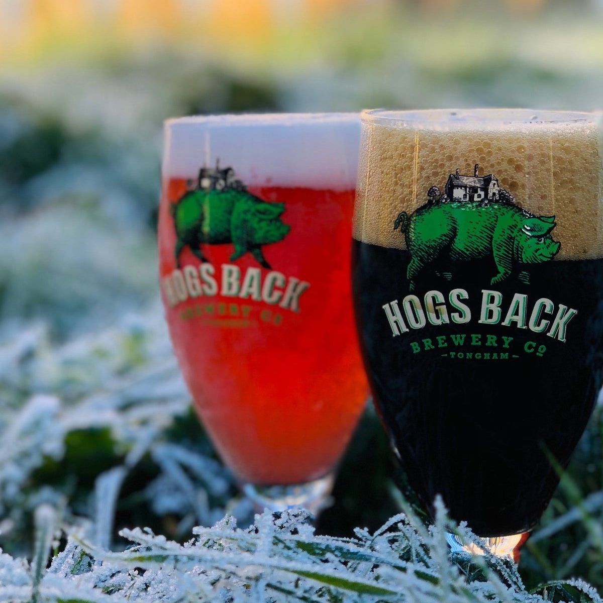 Great Guest Beers Hogs Back Brewery