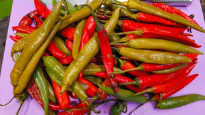 Halloween Treat Coming Soon - Hogs Back Brewery