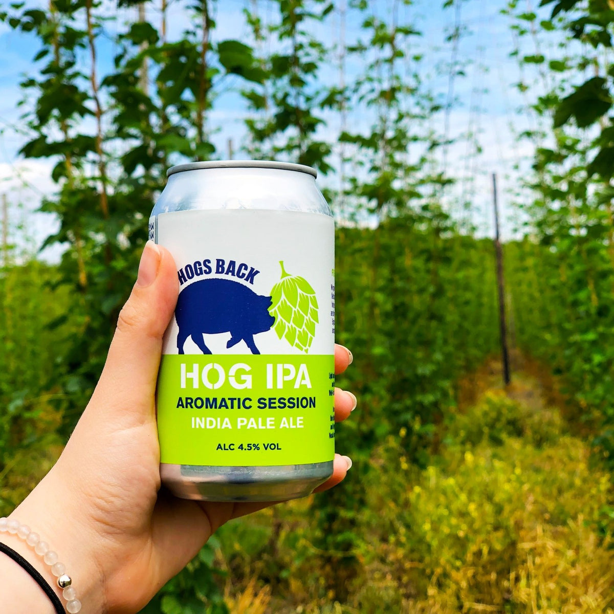 Hog IPA can offer! – Hogs Back Brewery