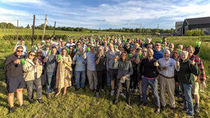 Hop Blessing in the evening sunshine - Hogs Back Brewery 