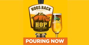 Hop Garden Gold on draught - Hogs Back Brewery