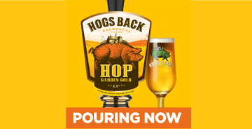 Hop Garden Gold on draught - Hogs Back Brewery