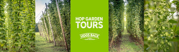 Hop Garden Tours start again in Summer - Hogs Back Brewery