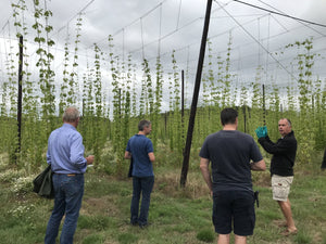 Hop Garden Tours to open this summer - Hogs Back Brewery