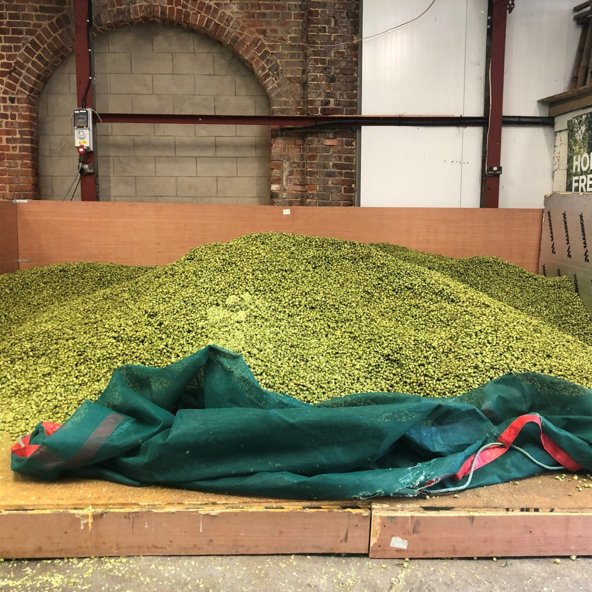 Hop Harvest Finale – Hogs Back Brewery