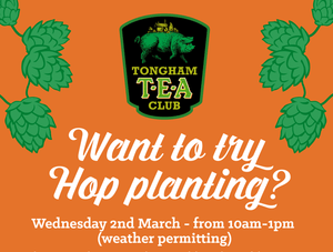 Hop planting with TTC - Hogs Back Brewery