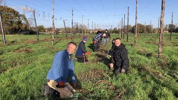 Hoppers dress the hops - Hogs Back Brewery