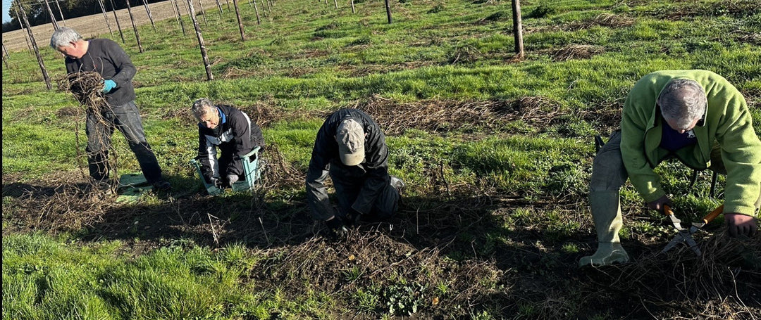 Hoppers Help Out – Hogs Back Brewery