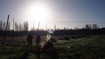 It’s Time to Burn in the Hop Garden - Hogs Back Brewery