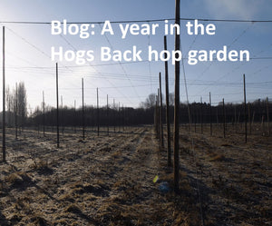 January to March 2017: No growth! - Hogs Back Brewery