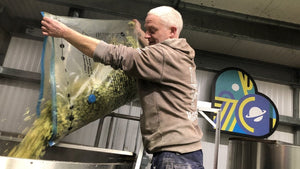 One Planet Hazy IPA back brewing - Hogs Back Brewery