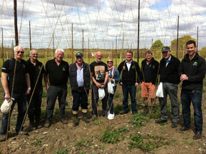 Picking Poor Man's Asparagus - Hogs Back Brewery