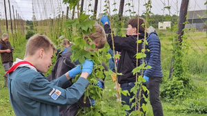 Scouts learning in the hop garden - Hogs Back Brewery