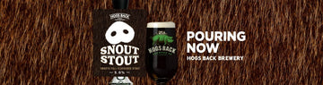 Snout Stout pouring on draught - Hogs Back Brewery