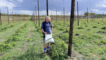 Stringing 2026 Comes to a Close - Hogs Back Brewery