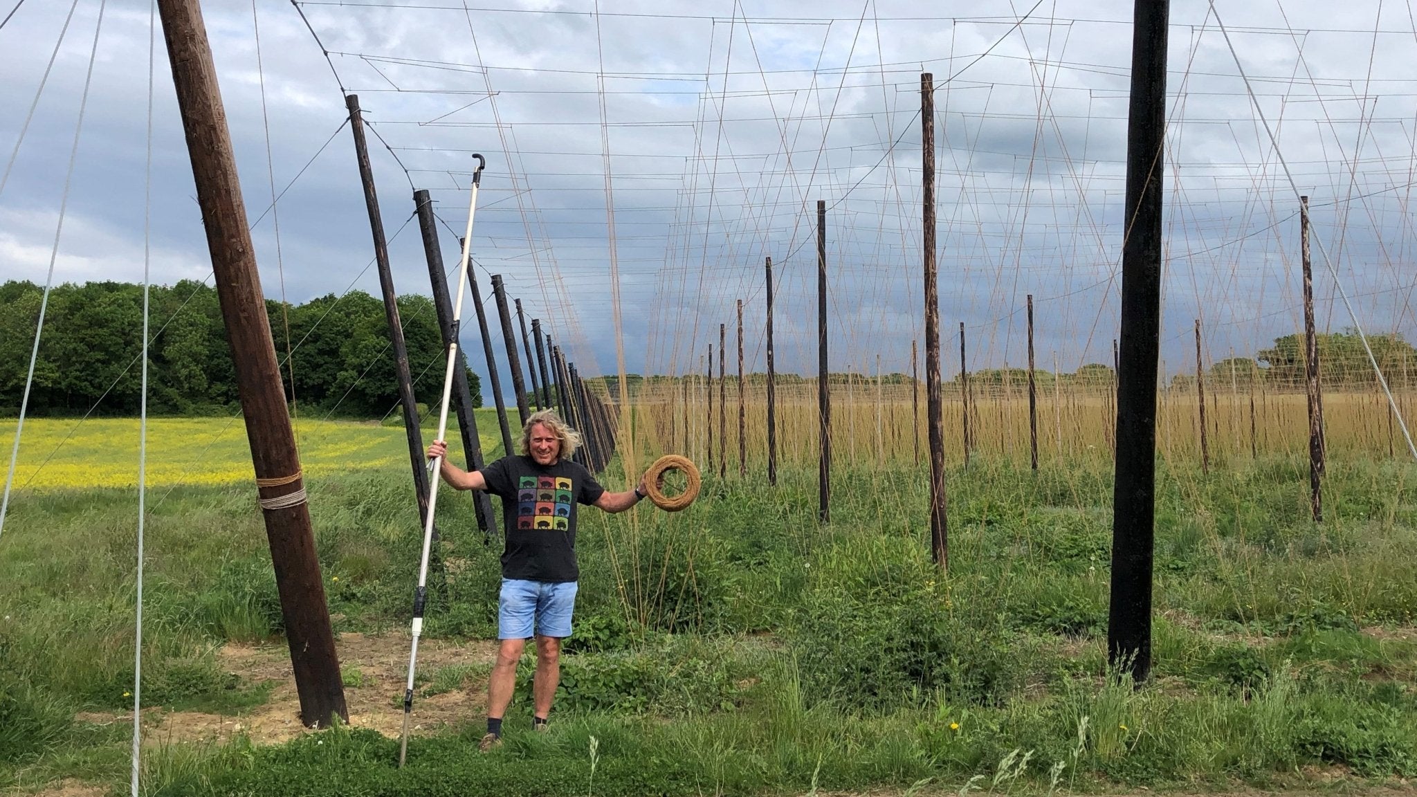 Stringing is finished – Hogs Back Brewery
