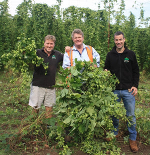 The 2018 Hop Harvest: Follow the hops from Field to Firkin - Hogs Back Brewery 
