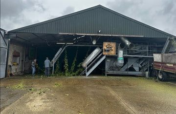 The 2023 Harvest officially starts! - Hogs Back Brewery