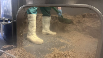 Three Hogs in the brewhouse - Hogs Back Brewery