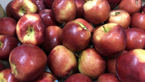 Toffee Apple Ale for Autumn - Hogs Back Brewery