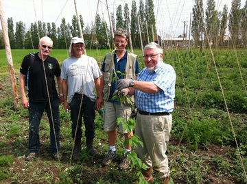 Tongham TEA Club Hop Twiddling - Hogs Back Brewery