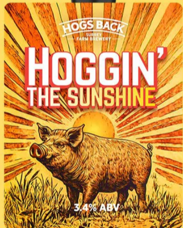 5 litre Mini Keg - Fresh - 5 litre Mini Keg - Fresh - Hogs Back Brewery
