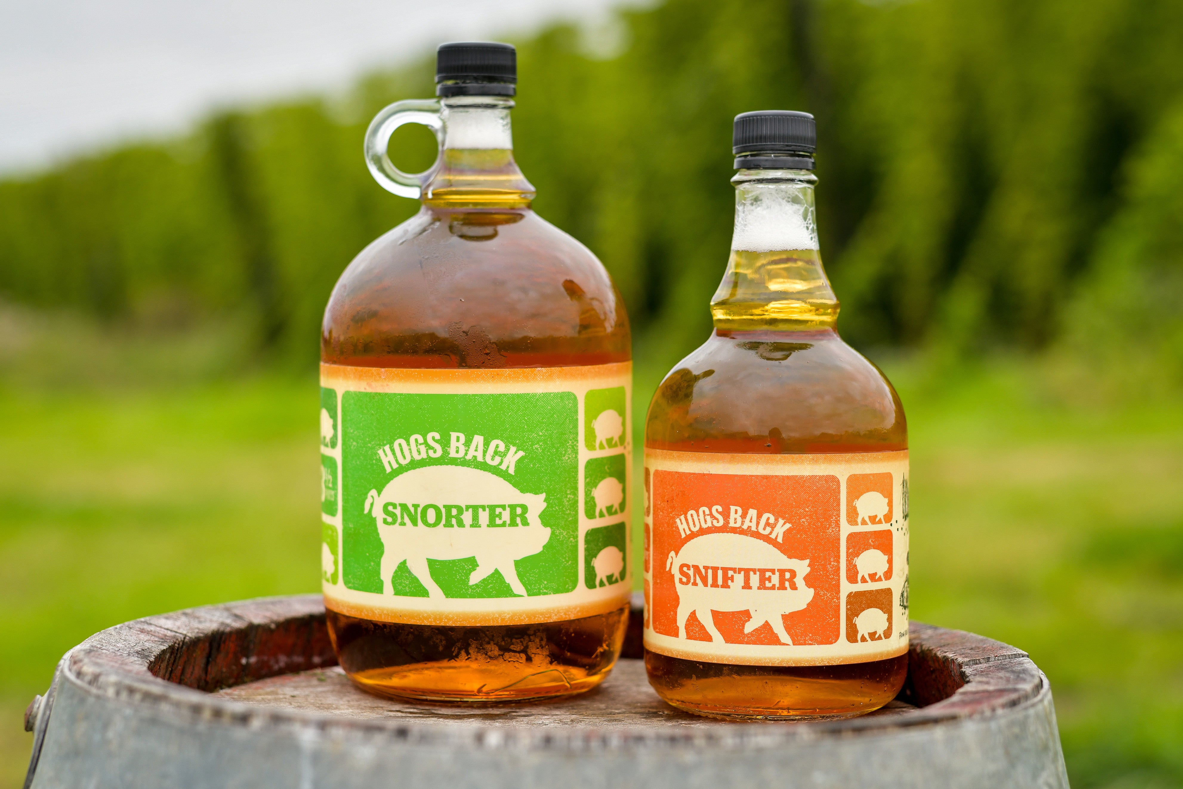 Hogsback Logo Hogs Back Brewery - Surrey brewer of fine English Beers, Ales & Lagers