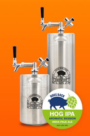 10L Brewery Gate Keg and dispense system - Special Offer