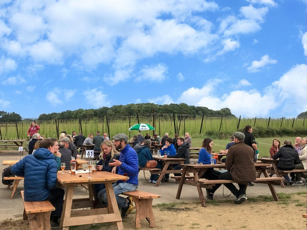 Brewery Tap Reservation - Brewery Tap Reservation - Hogs Back Brewery