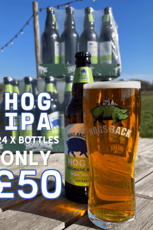 Hog IPA beer offer - 24 bottles for £50 - Hog IPA - 3 cases for £50 - Hogs Back Brewery