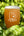 One Planet Brewing Co beer glass and hops - Hogs Back Brewery Tour - Hogs Back Brewery