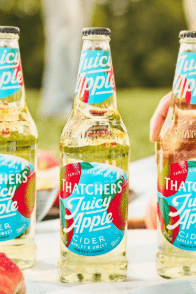 Thatchers Juicy Apple Cider - Thatchers Juicy Apple Cider - Hogs Back Brewery