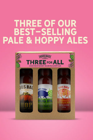 Three for All Light mixed bottled beer gift box - Three For All - Light Beers - Hogs Back Brewery